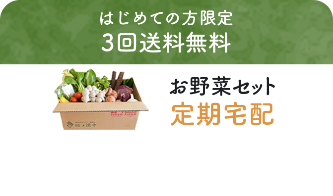 はじめての方限定 3回送料無料　お野菜セット定期宅配