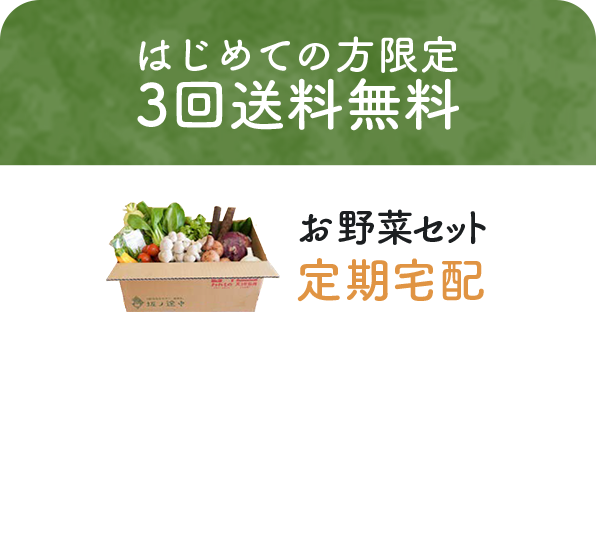 はじめての方限定 3回送料無料　お野菜セット定期宅配