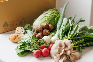 坂ノ途中 | 化学合成農薬や化学肥料を使わずに育ったお野菜の定期宅配
