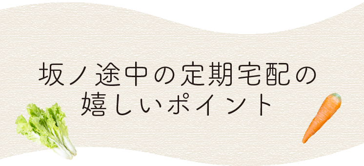 坂ノ途中お野菜セットの嬉しいポイント