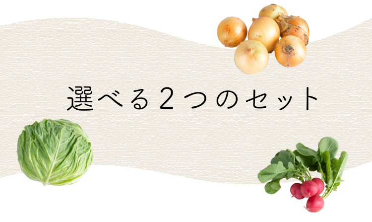 坂ノ途中お野菜セットの嬉しいポイント