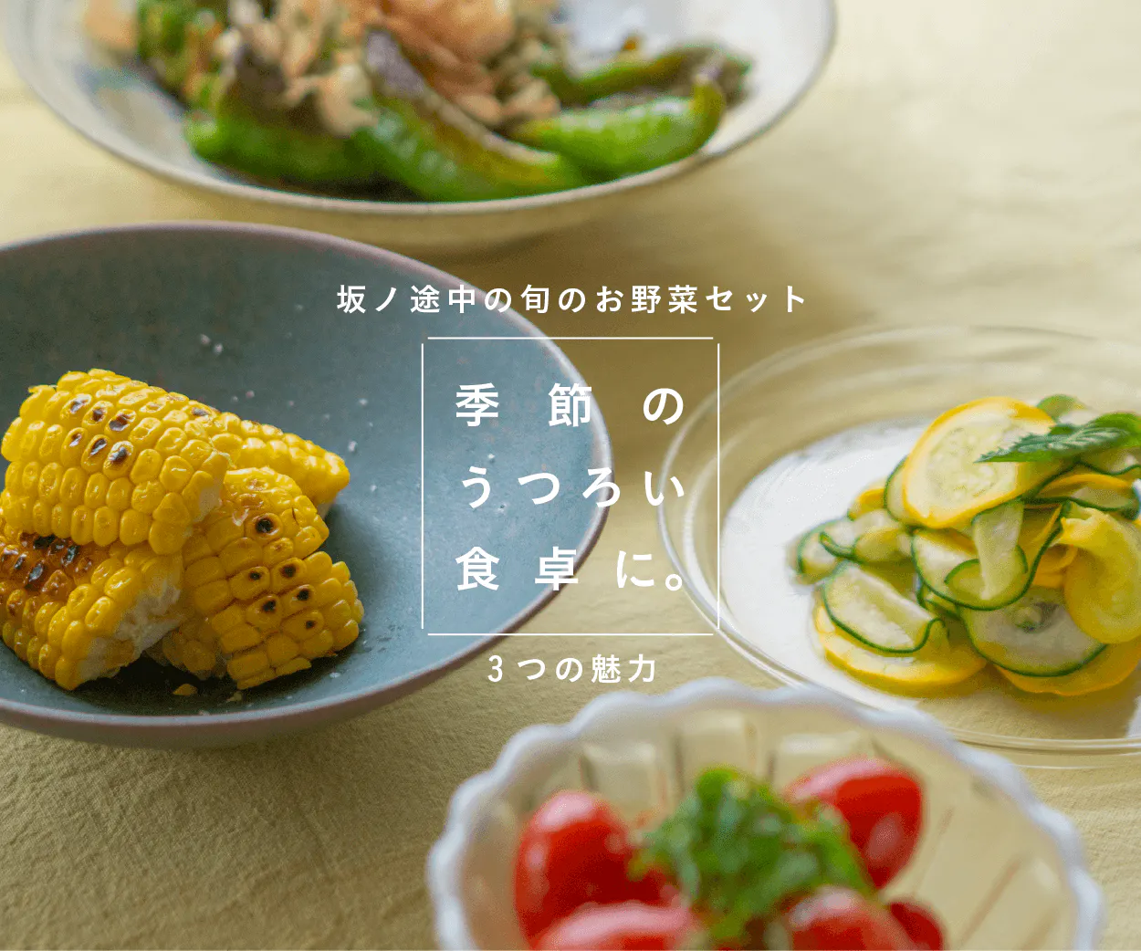 季節のうつろいを食卓に。坂ノ途中の定期便をつづける3つの理由